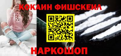 стаф Гатчина