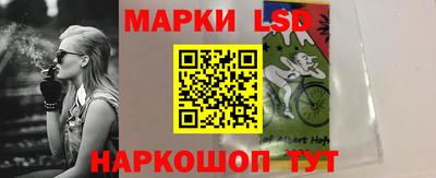 стаф Гатчина