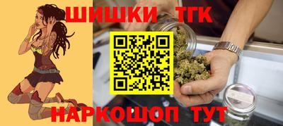 стаф Гатчина