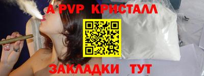 стаф Гатчина