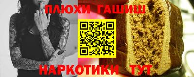 стаф Гатчина