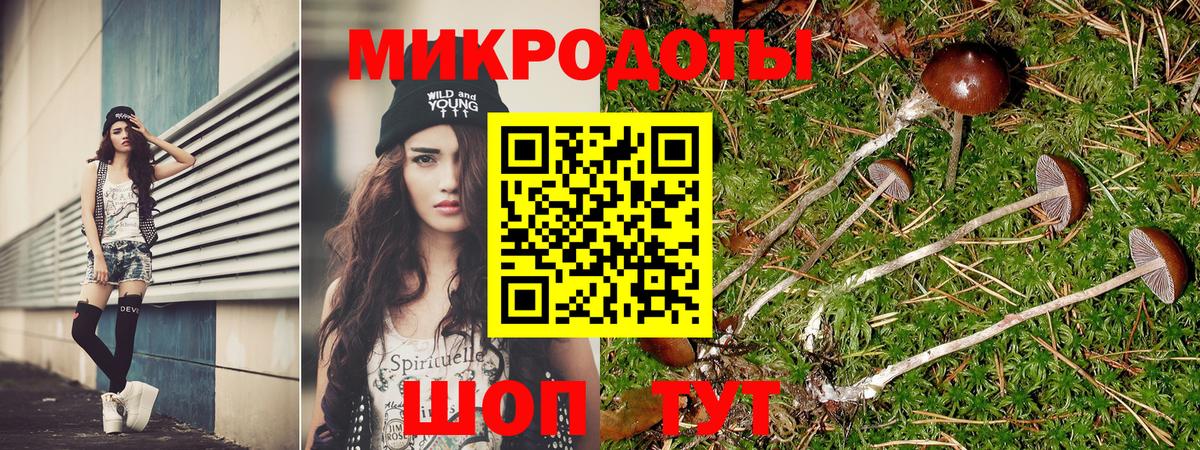 Псилоцибиновые грибы Psilocybine cubensis Камень-на-Оби